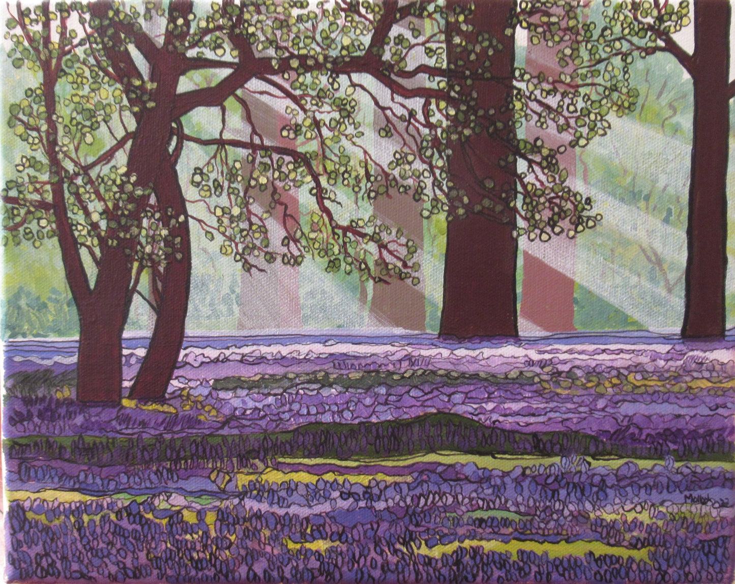 Tollymore Forest Park. Bluebells in Tollymore. Co. Down. Art Print. Mounted. Eddie Mallon.