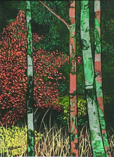 Castlewellan Forest Park. Birch Trees. Art Print. Mounted. Eddie Mallon.