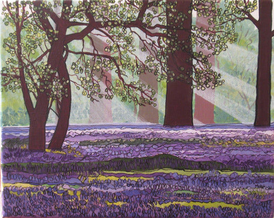 Tollymore Forest Park. Bluebells in Tollymore. Co. Down. Art Print. Mounted. Eddie Mallon.