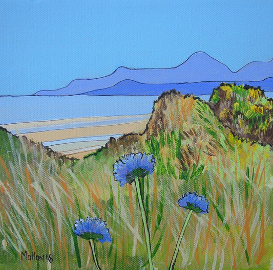 Murlough. Co. Down. Mountains of Mourne. Sand Dunes. Cornflowers. Art Print. Mounted. Eddie Mallon.