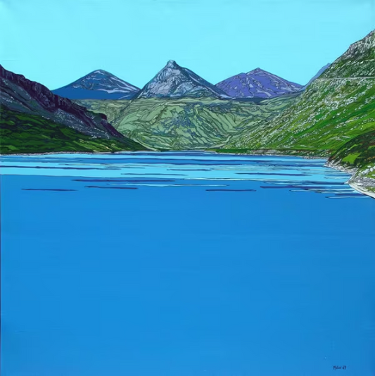 Mountains Of Mourne. The Silent Valley. Kilkeel. Co. Down. Art Print. Mounted. Eddie Mallon.